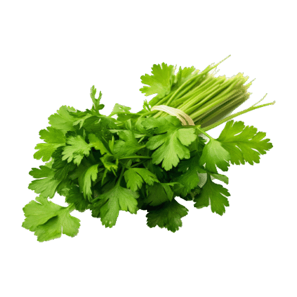 Coriander 100gm
