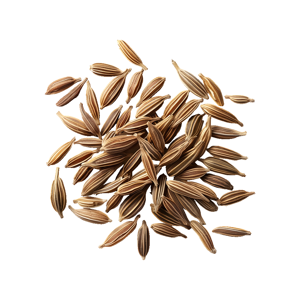 Cumin