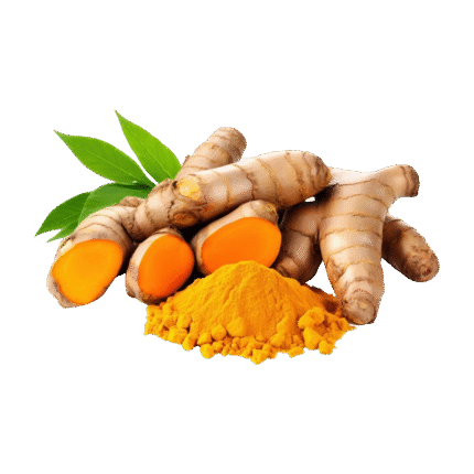Turmeric 100gm