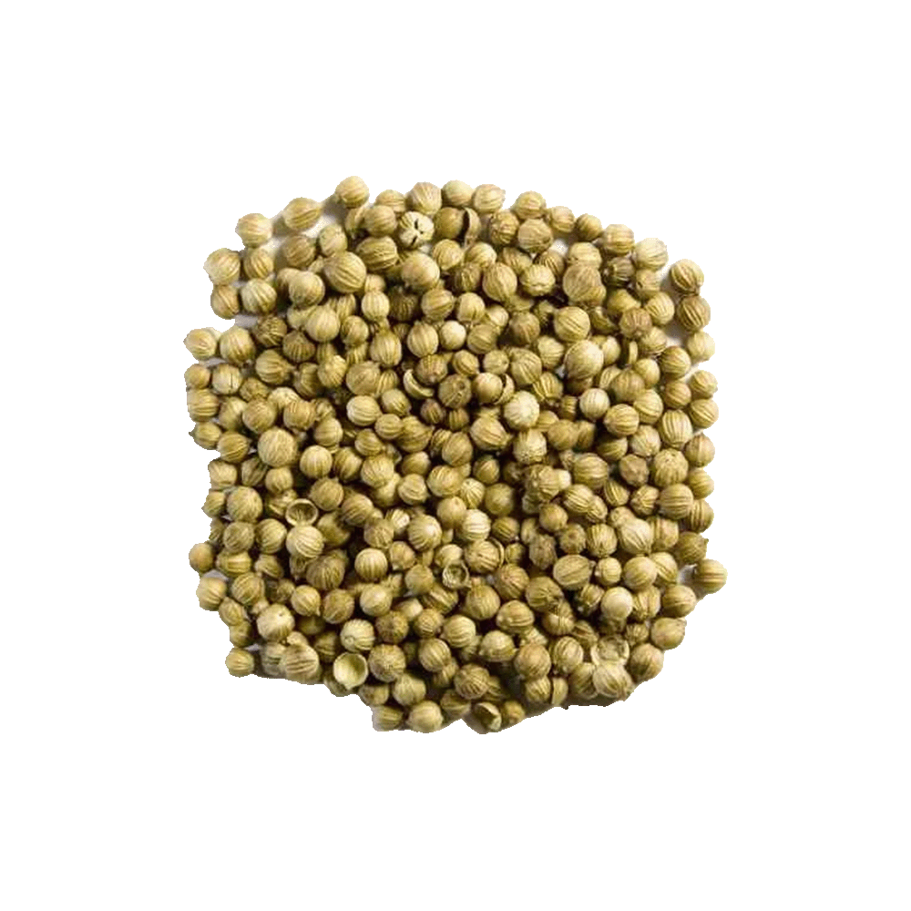 Avs Coriander Seed