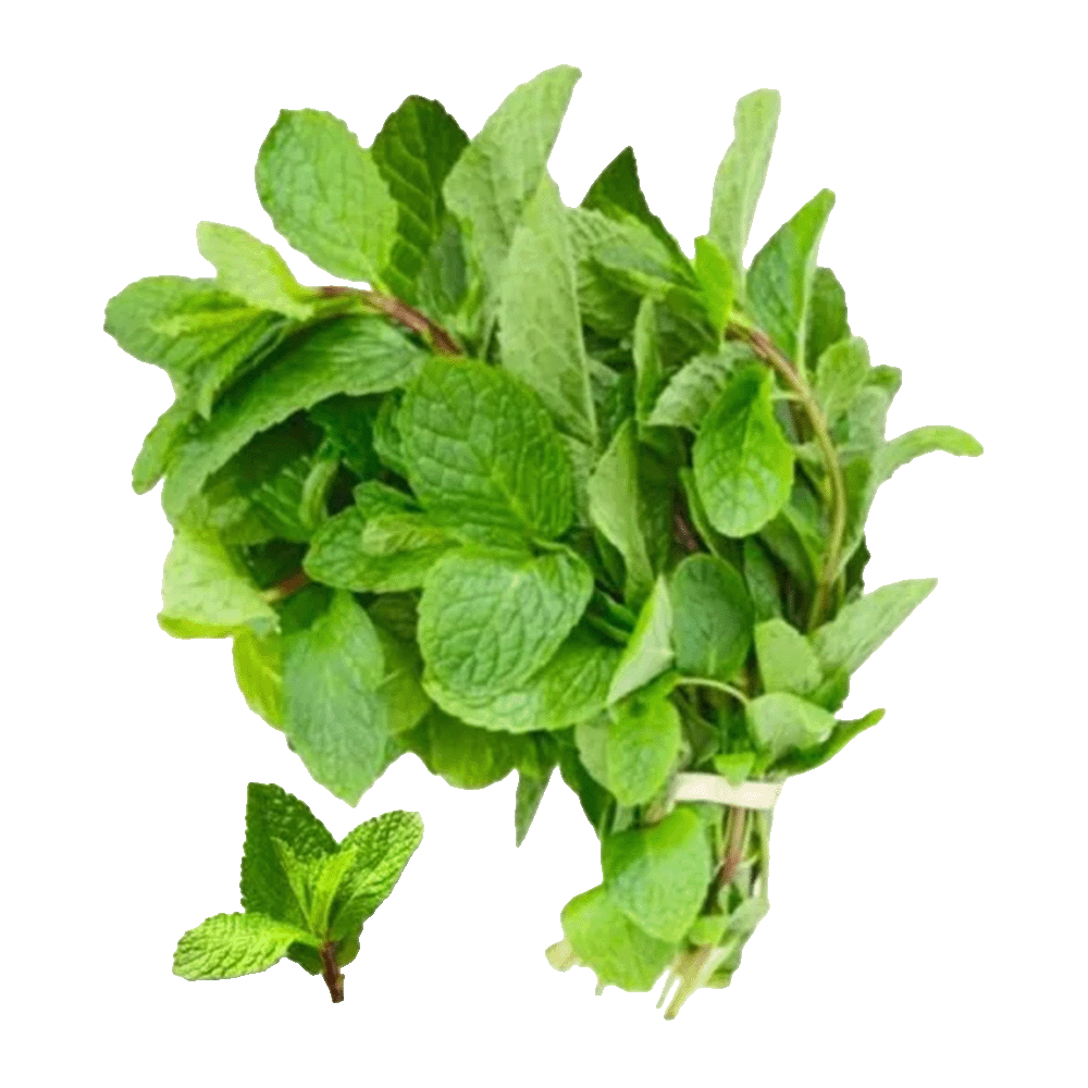 Mint Leaves
